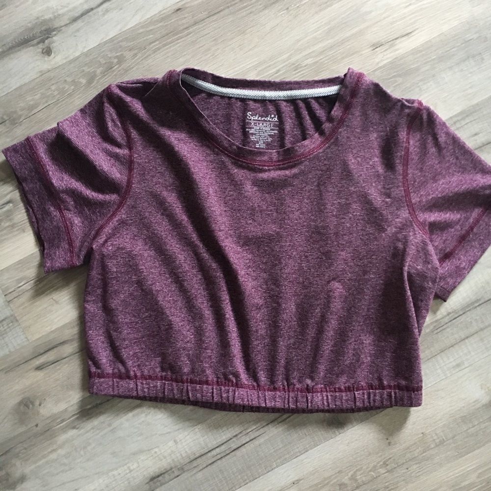 Splendid Crop Top 